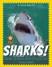 Sharks! And Why They Matter: A Book for Curious Kids