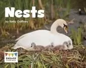 Nests