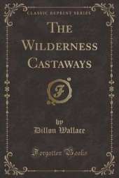 The Wilderness Castaways (Classic Reprint)