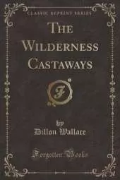 The Wilderness Castaways (Classic Reprint)