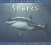 Discovering Sharks