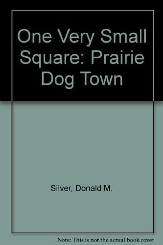 One Very Small Square