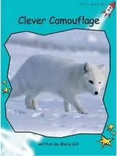 Clever Camouflage: Us English Edition
