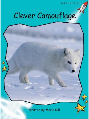 Clever Camouflage: Us English Edition