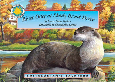 River Otter at Autumn Lane