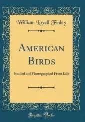 American Birds: Studied and Photographed From Life (Classic Reprint)
