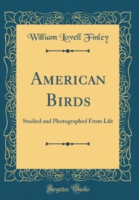 American Birds: Studied and Photographed From Life (Classic Reprint)