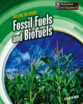 Fossil Fuels and Biofuels