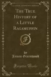 The True History of a Little Ragamuffin (Classic Reprint)