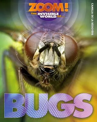 The Invisible World of Bugs