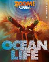 The Invisible World of Ocean Life