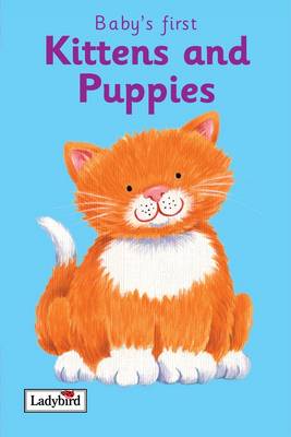 Kittens and Puppies