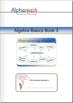 Algebra Basics Book 3