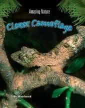 Clever Camouflage