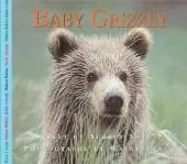 Baby Grizzly Bear