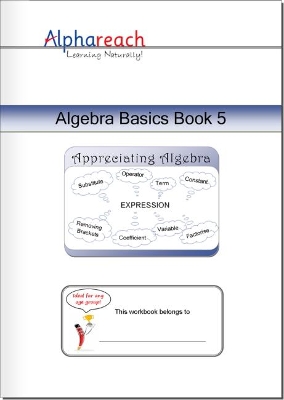 Algebra Basics Book 5