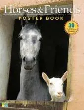 Horses and Friends Poster Book