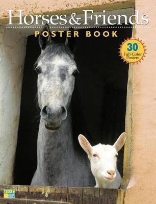 Horses and Friends Poster Book
