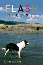Flash the Sheep Dog