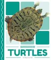 Pond Animals: Turtles