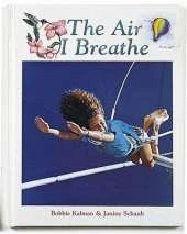 The Air I Breathe