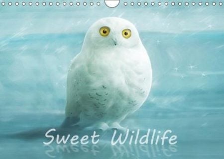 Sweet Wildlife / UK-Version / Birthday Calendar 2018: The Funny and Sweet Animal Calendar for Old and Young.