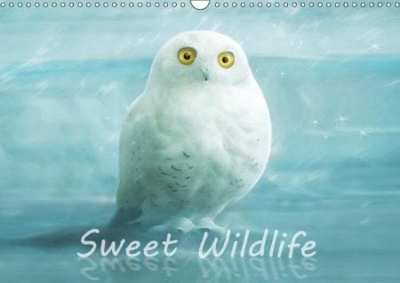 Sweet Wildlife / UK-Version / Birthday Calendar 2018: The Funny and Sweet Animal Calendar for Old and Young.