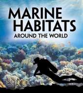 Marine Habitats Around the World