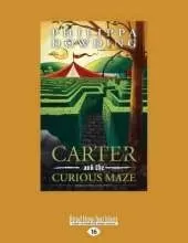 Carter and the Curious Maze: Weird Stories Gone Wrong