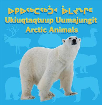 Arctic Animals