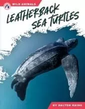 Leatherback Sea Turtles