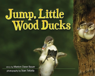 Jump, Little Wood Ducks