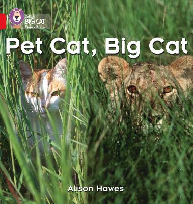 Pet Cat, Big Cat: Band 02a/Red a