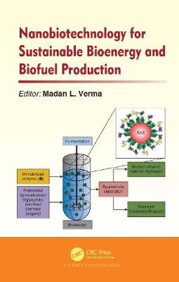 Nanobiotechnology for Sustainable Bioenergy and Biofuel Production
