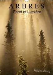Arbres. Foret et Lumiere: Des Arbres dans Toute Leur Beaute.