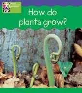 PYP L4 How Plants Grow single