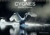 Cygnes. Blanche Elegance: Les Plus Belles Photos de Cygnes Prises dans des Regions Sauvages de France et de Finlande.