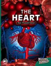 The Heart