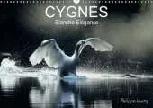 Cygnes. Blanche Elegance: Les Plus Belles Photos de Cygnes Prises dans des Regions Sauvages de France et de Finlande.