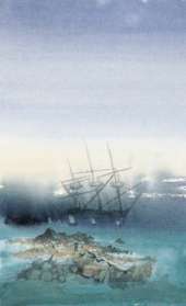 The Voyage of the Arctic Tern