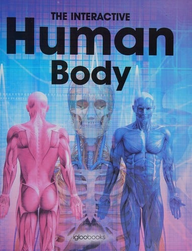 Human Body