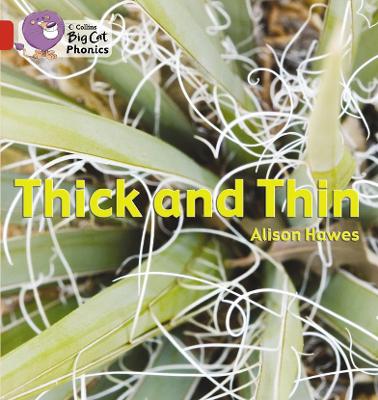 Thick and Thin: Band 02b/Red B