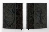 The Cruel Prince (A Novel of Elfhame): The Deluxe Slipcase Edition
