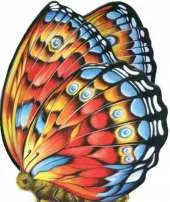 Little Butterfly: Mini Creatures Books