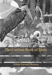 The Curious Book of Birds