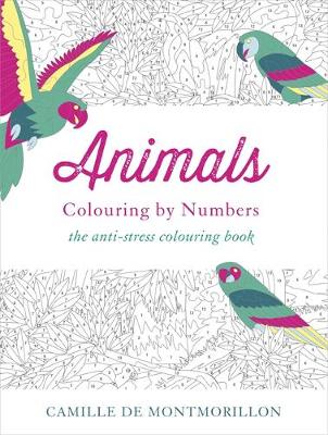 Animals: Colouring by Numbers