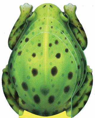 Little Frog: Mini Creatures Books