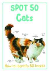 Spot 50 Cats