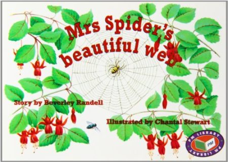 Mrs Spider's beautiful web
