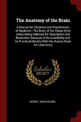 The Anatomy of the Brain: A Manual for Students and Practitioners of Medicine: The Brain of the Sheep (Ovis Aries) Being Selected for Description and Illustration Because of Its Availability and Its Practical Identity with the Human Brain for Laboratory